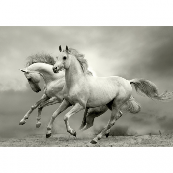 MUSTANG G3302 PINTDECOR rammeværk