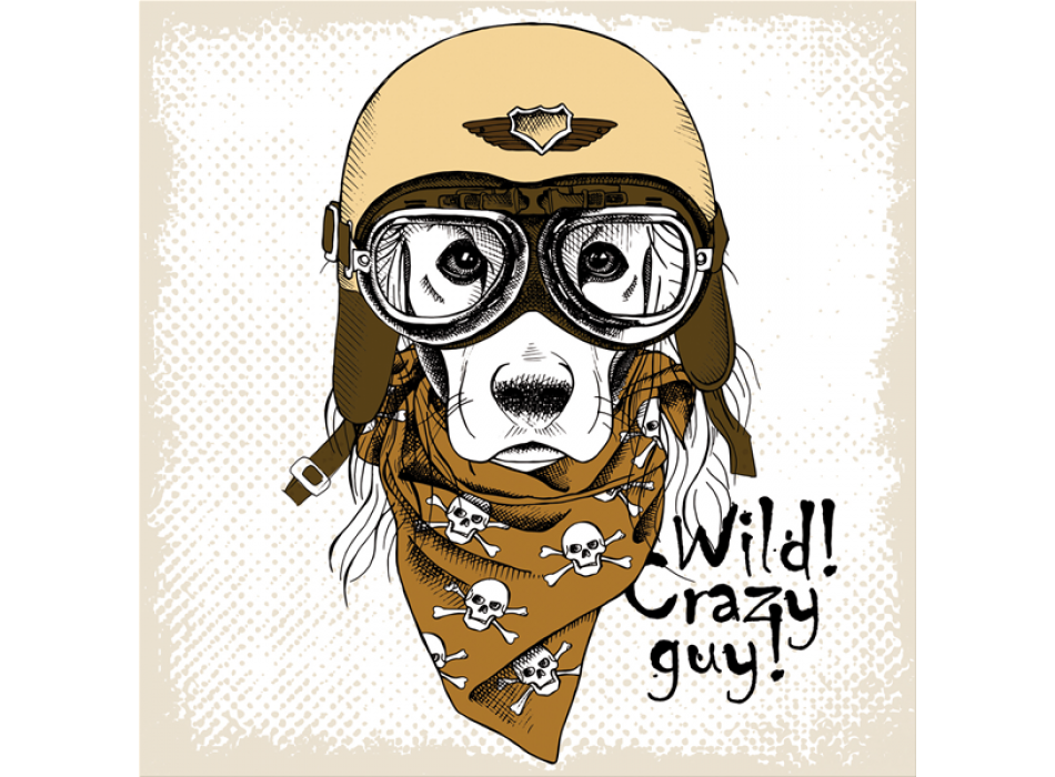 NUVOLARI G3378 PINTDECOR Maleri