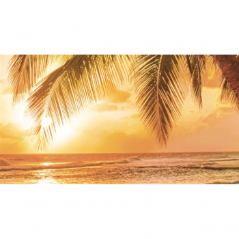 PALME VED SOLNEDGANG G4196 PINTDECOR Maleri
