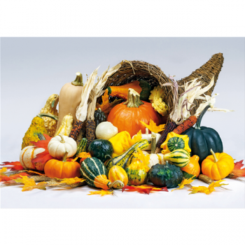 Lucky Charm G2686 PINTDECOR Maleri