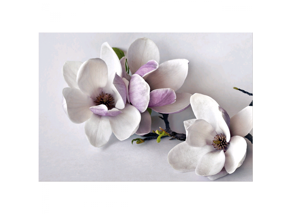 RAMETTO G5256 PINTDECOR maleri