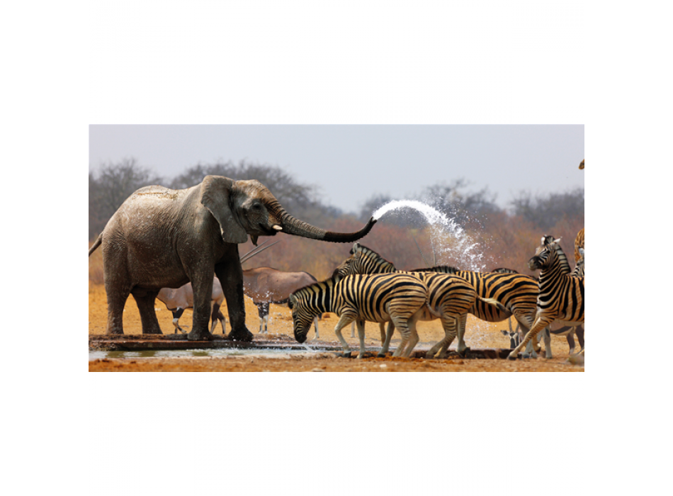 SAVANA G1514 PINTDECOR Maleri