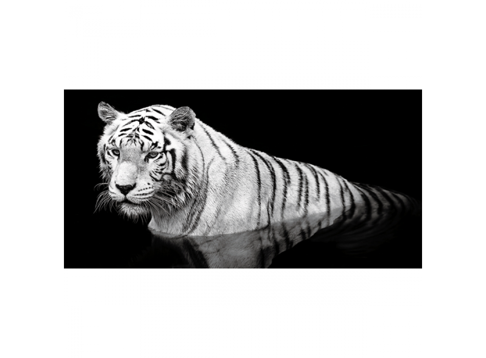 TIGER I VAND G2010 PINTDECOR Maleri