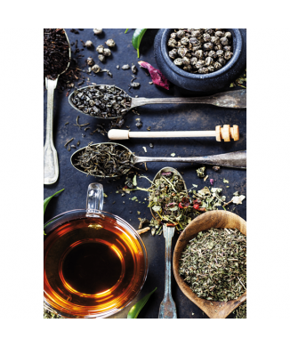 TISANA G2740 PINTDECOR maling