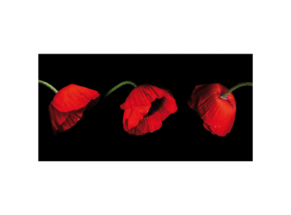 TRE VALMUER G2508 PINTDECOR Maleri