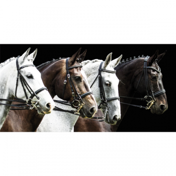 TROTTO G3310 PINTDECOR maleri