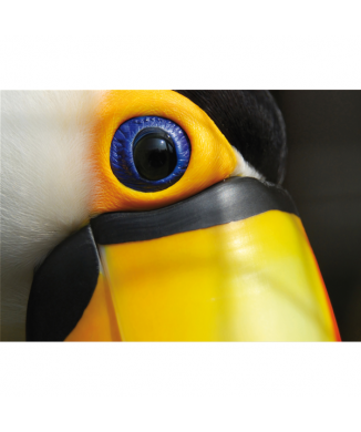 TUCANO G3268 PINTDECOR Maleri