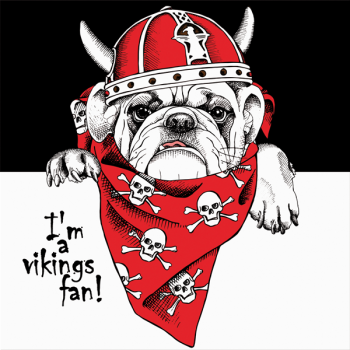 VIKINGS G3394 PINTDECOR rammeværk