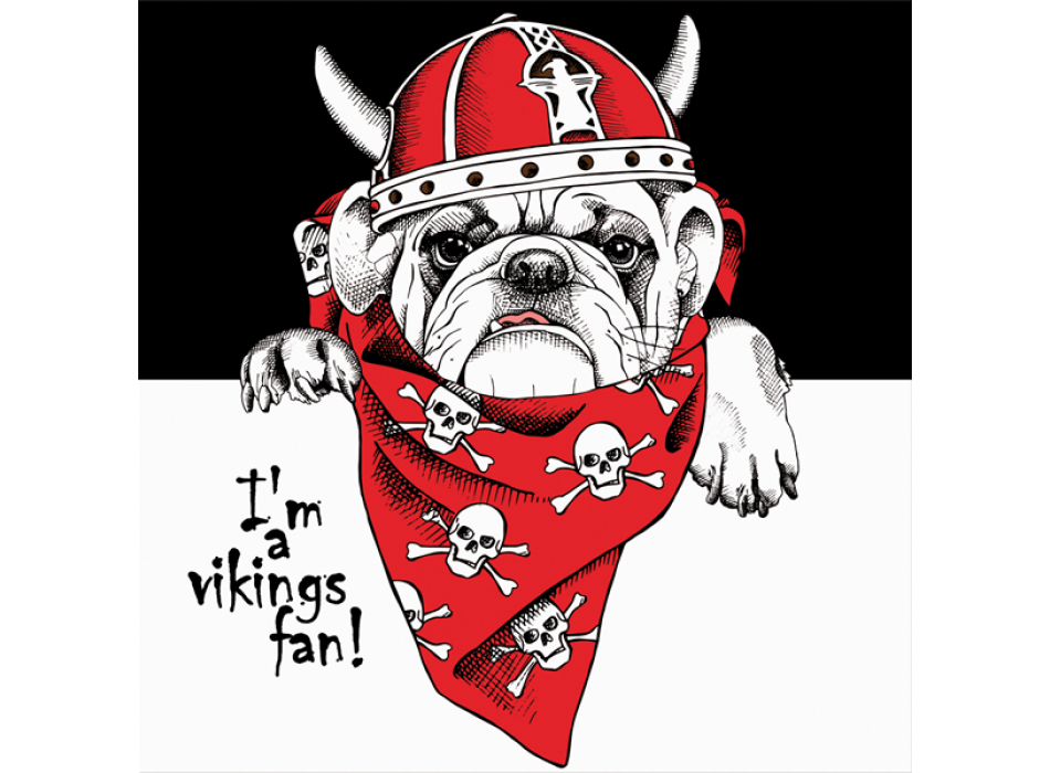 VIKINGS G3394 PINTDECOR rammeværk