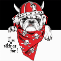 VIKINGS G3394 PINTDECOR rammeværk