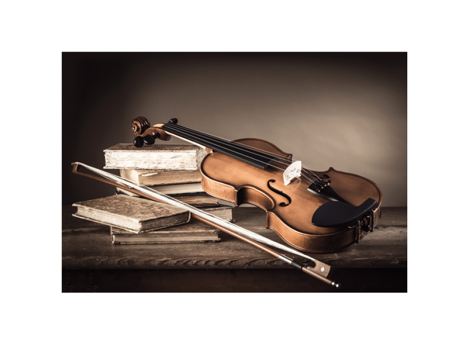 Maleri VIOLIN OG BUE G2930 PINTDECOR