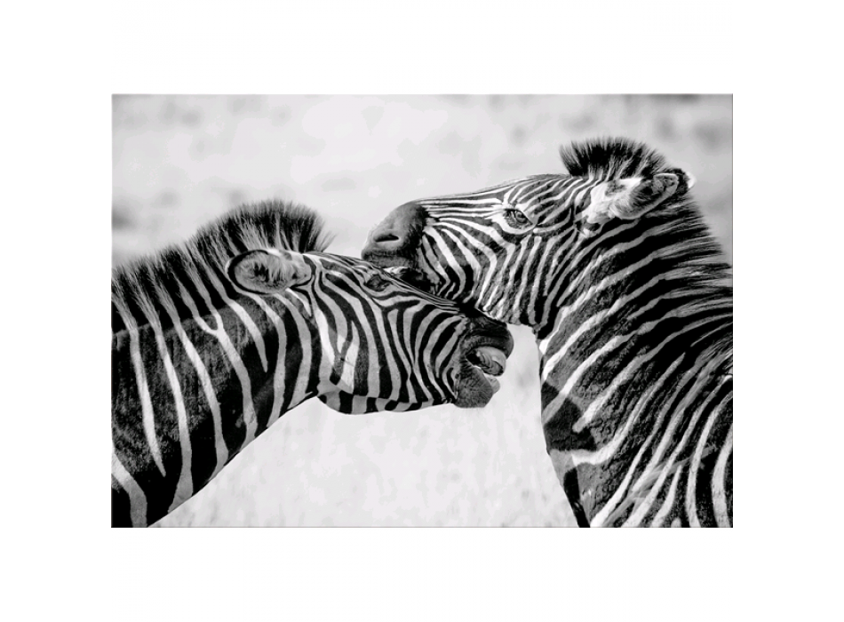 Maleri ZEBRE G5934 PINTDECOR