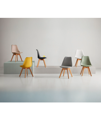 KARINA SOMCASA Formand