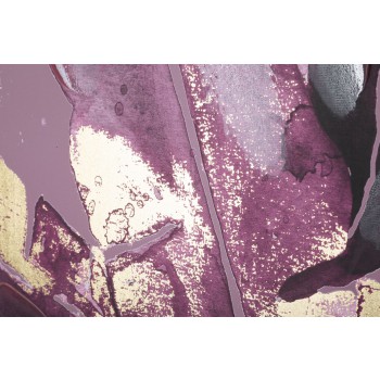 MØRKE BLADEMALET TRYK