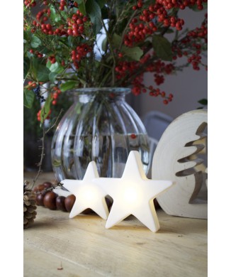 Lysende stjerne mikro 12 cm USB-C 32600 8 årstider design