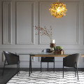 COSTES Philippe Starck 1985 Driade