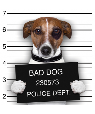 Σκελετός BAD DOG G2054 PINTDECOR