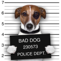 Σκελετός BAD DOG G2054 PINTDECOR