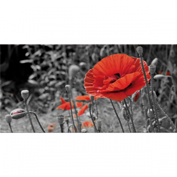 Ζωγραφική POPPY FIELD G2516 PINTDECOR
