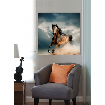Πίνακας ζωγραφικής HORSE G1562 PINTDECOR