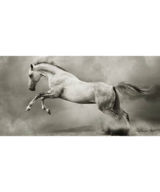 Ζωγραφική RUNAWAY HORSE G2008 PINTDECOR