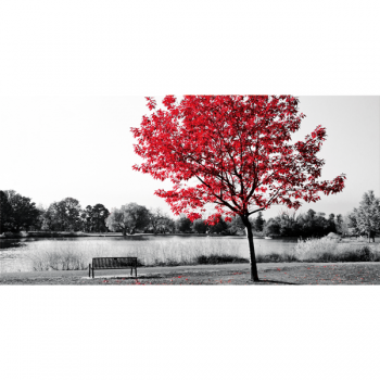 Πίνακας ζωγραφικής CENTRAL PARK G2524 PINTDECOR