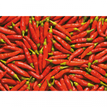 Ζωγραφική CHILES G2726 PINTDECOR