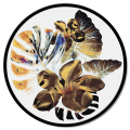 Πίνακας GT6158 PINTDECOR COMPOSITION