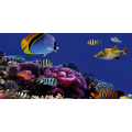 Ζωγραφική CORALS G1542 PINTDECOR
