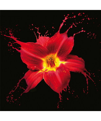 Πίνακας ζωγραφικής RED LILY G2566 PINTDECOR