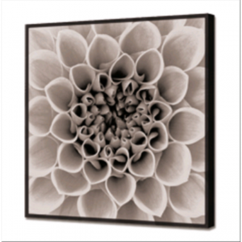 Πίνακας ζωγραφικής GL3432 PINTDECOR BRIGHT BLOSSOM