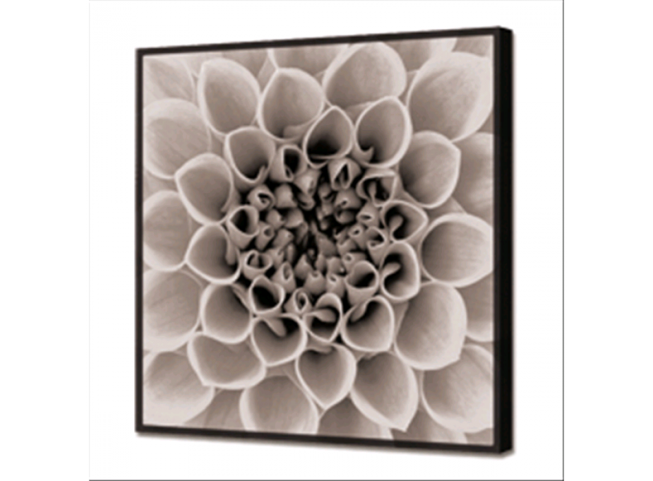 Πίνακας ζωγραφικής GL3432 PINTDECOR BRIGHT BLOSSOM