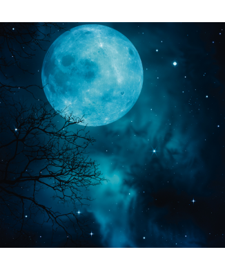 BLUE MOON G2178 PINTDECOR Ζωγραφική