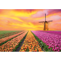Ζωγραφική HOLLAND LANDSCAPES G4130 PINTDECOR