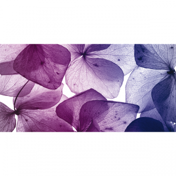 Πίνακας ζωγραφικής PETALI G1142 PINTDECOR