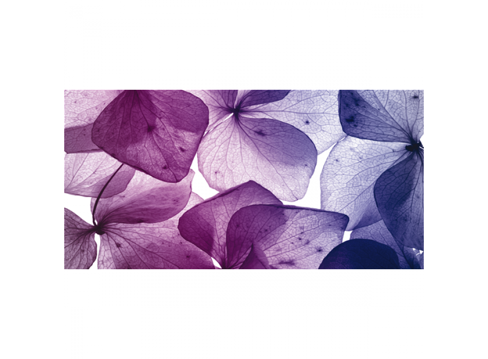 Πίνακας ζωγραφικής PETALI G1142 PINTDECOR