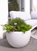 Βάζο Sinuous Luminous XM 32056 8 Εποχές Σχεδιασμός Νέα