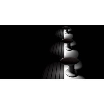 BITTA TORREMATO in de schijnwerpers