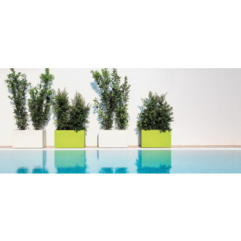 Bloempot Monacis plantenbak