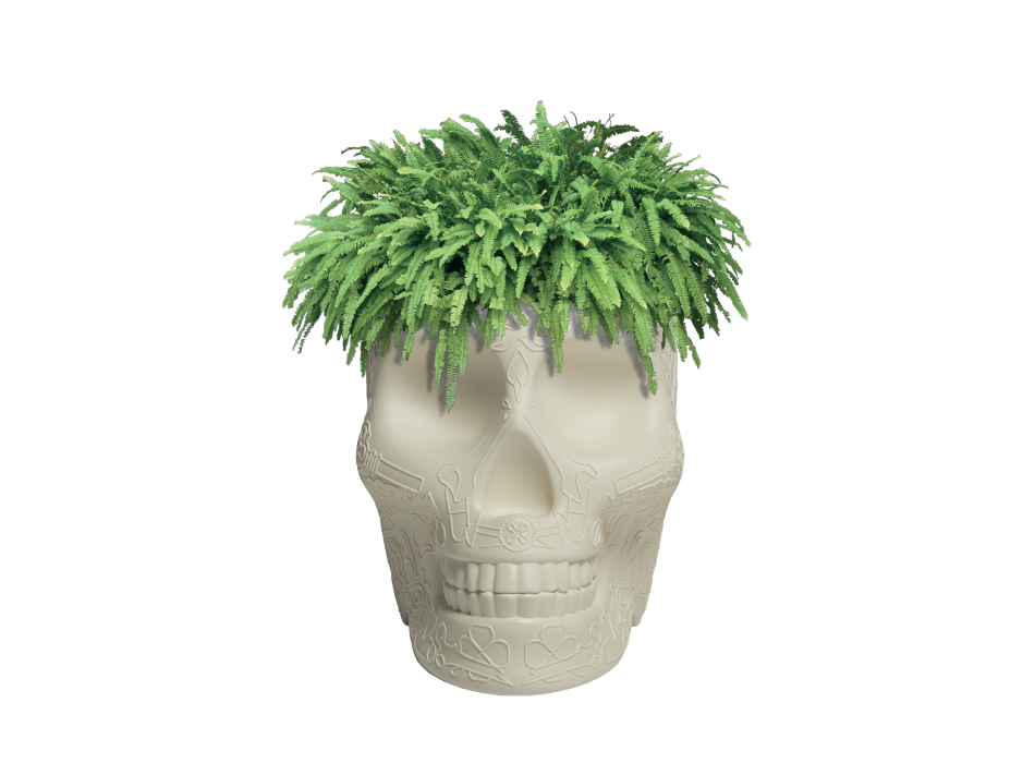 QEEBOO 70007 MEXICO BLOEMENPOT EN CHAMPAGNEKOELER