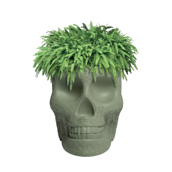 QEEBOO 70007 MEXICO BLOEMENPOT EN CHAMPAGNEKOELER