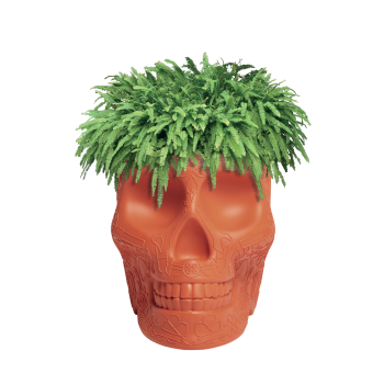 QEEBOO 70007 MEXICO BLOEMENPOT EN CHAMPAGNEKOELER