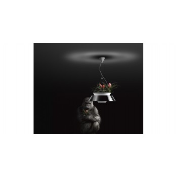 EDEN TORREMATO hanglamp