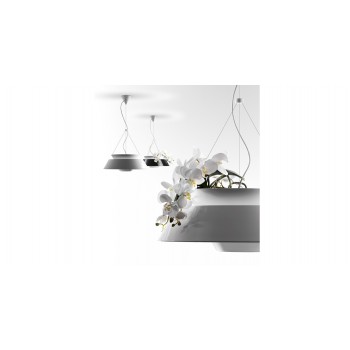 EDEN TORREMATO hanglamp