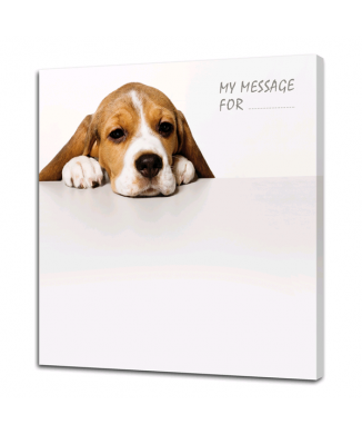 PINTDECOR G4646 PUPPY Schoolbord