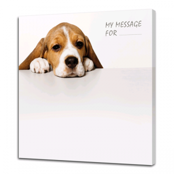 PINTDECOR G4646 PUPPY Schoolbord