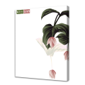 Schoolbord GEDACHTE TUSSEN DE BLOEMEN G6808 PINTDECOR