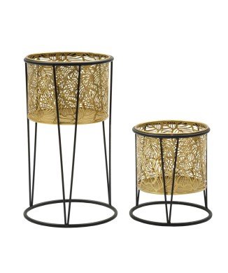 P/VASI LEAVY COUPLE -A-