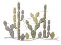 IJZEREN CACTUS PANEEL -B-