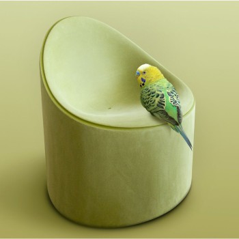 SERRALUNGA MOLESKIN BAY FAUTEUIL